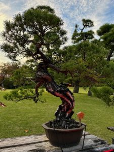 indelible-travel-japan-tokyo-happo en-japanese garden-bonsai