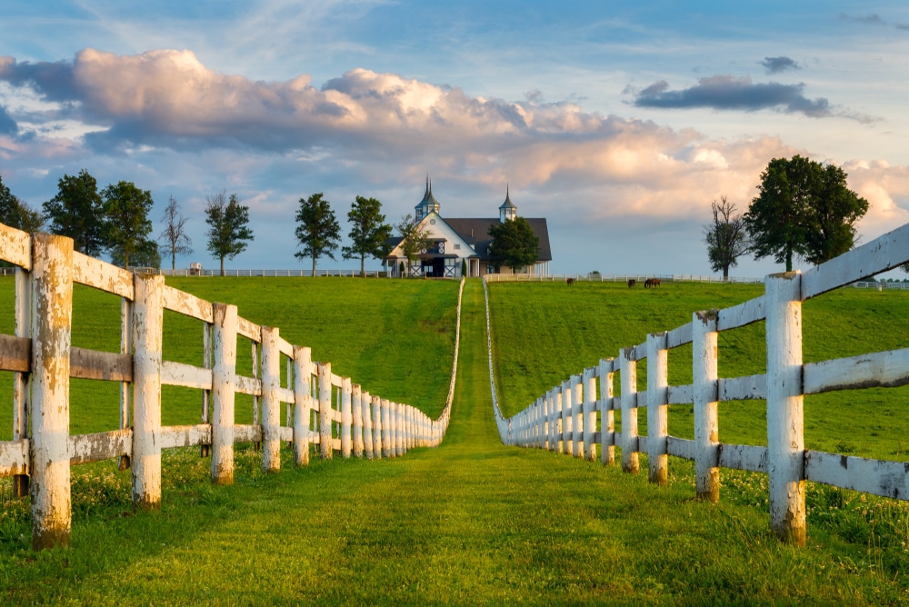 Indelible-travel-usa-kentucky-horse-farm-paardenboerderij