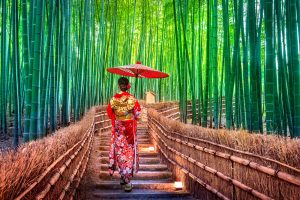 indelible-travel-asia-Japan-nature-bamboo forest