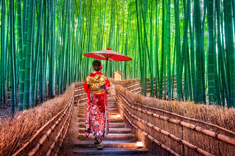 indelible-travel-asia-Japan-nature-bamboo forest