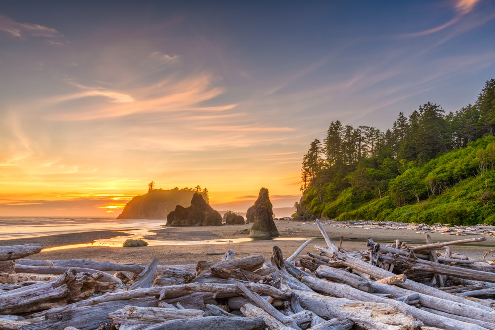 Indelible-travel-usa-Washington-Olympic-National-Park